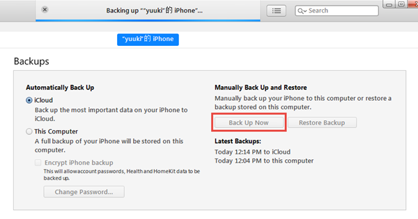 Transfer iMessages & Text Messages from iPhone to iPhone via iTunes