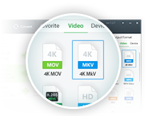 Choose Output Format