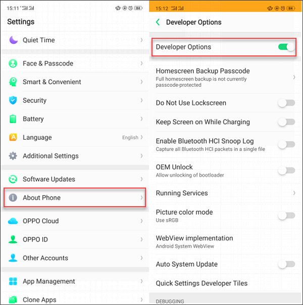 enable Developer Options on your smartphone