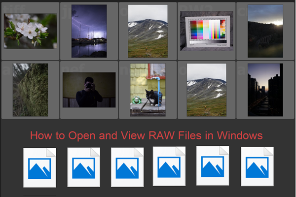 Best Methods to Open RAW Files on Windows/Mac Free