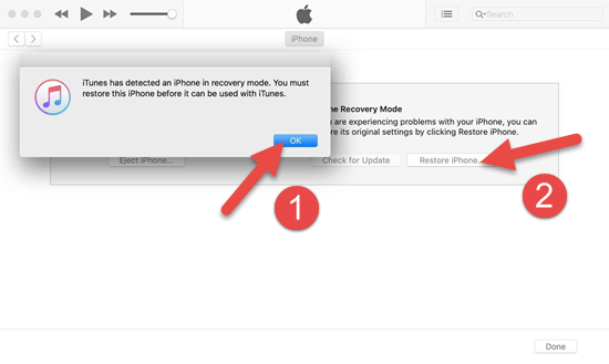 Put Your iPhone into Recovery Mode