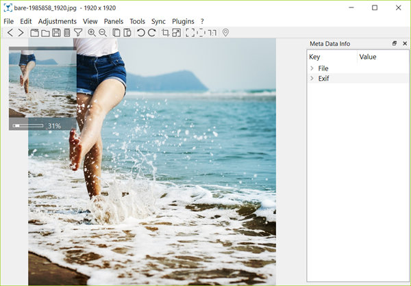 Nomacs – Best Photo Organizing Software with Deep Search Ability