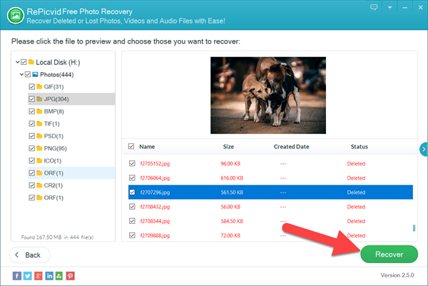 How to Recover CR2 Photos Free with RePicvid.