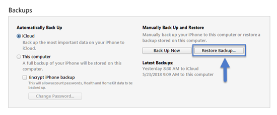 Restore Data from iPhone Backup after iOS 11/12 Update