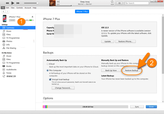 Restore Backup from iTunes