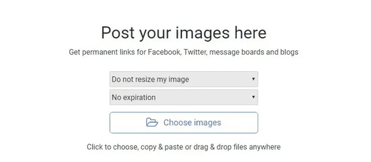 PostImage are well known to give you free picture hosting for life by making a record first. 