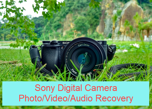 Free Sony Camera Recovery Software to Recover ARW/SR2/JPG Photos