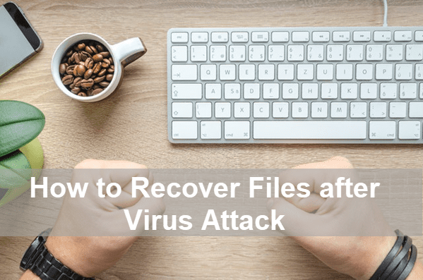 Recover Files from Virus Infected Hard Drive Free